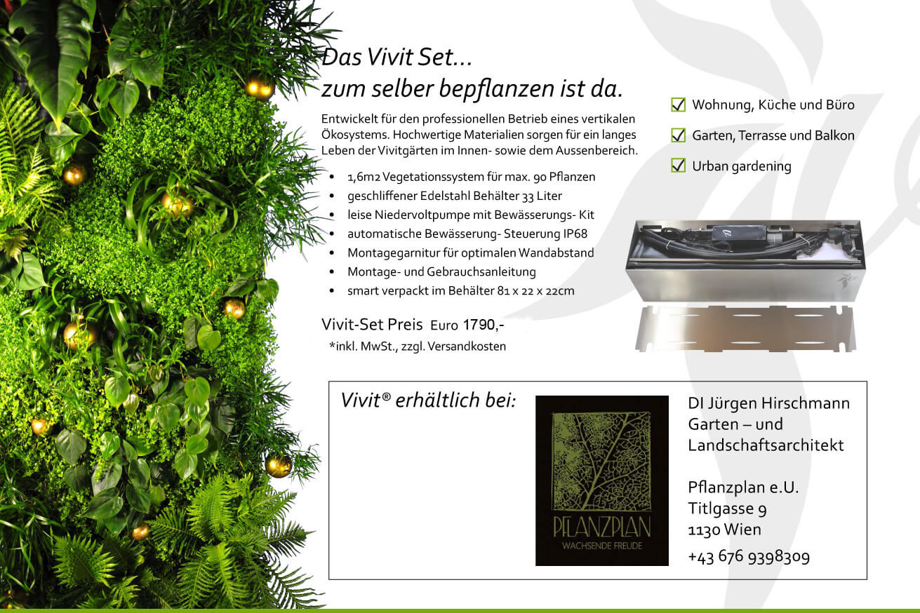 vivit-set-xmas-2016-pflanzplan_4-kopie